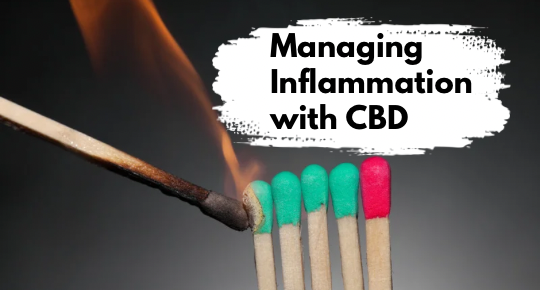 Managing Inflammation with CBD