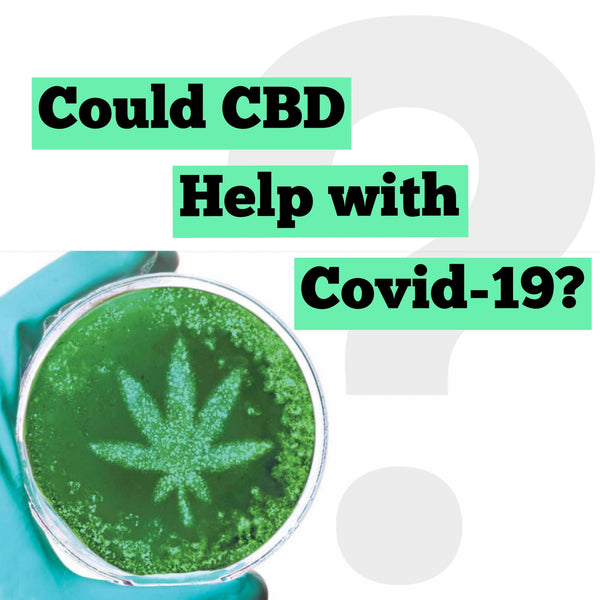 CBD vs COVID
