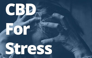 National Stress Awareness Day 2021 Discussion - CBD and Stress | 8LABS CBD